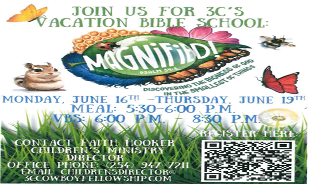 VBS2025